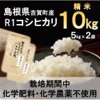 令和7年産R1米コシヒカリ10kg 玄米