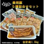 5種の詰め合わせセット 共通返礼品