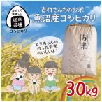 令和8年産 従来品種 魚沼産 コシヒカリ 精米 30kg