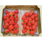 ふるさと納税 大木町 ジャム用あまおう2kg BD07