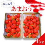 ふるさと納税 大木町 ジャム用あまおう1kg BD08