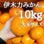 ふるさと納税 諫早市 《伊木力みかん》大玉みかん(10kg)
