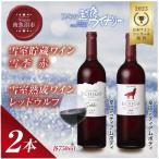雪室貯蔵ワイン 赤ワイン2種セット 雪季