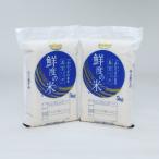 令和8年度産 こしひかり 精米 10kg