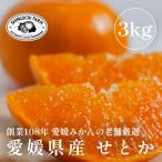 ふるさと納税 八幡浜市 【2026年2月発送】柑橘の大トロ【せとか 3kg】家庭用 愛媛みかんの老舗【C70-9】