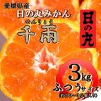 ふるさと納税 八幡浜市 日の丸みかん「千兩」3kg　約25〜35個/LまたはMサイズ/光センサー使用【C79-6】