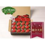 ショッピングふるさと納税 いちご ふるさと納税 伊勢崎市 【いちご総合大賞】やよいひめ　約400g