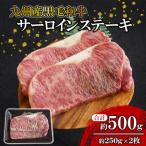 サーロインステーキ 約500g