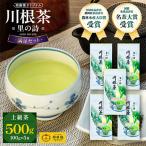 相藤園オリジナル 川根茶 里の詩 満足セット