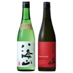 ふるさと納税 南魚沼市 日本酒 八海山 純米大吟醸45%・純米大吟醸 時季限定 720ml×2本 限定品