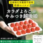 ふるさと納税 上越市 大粒いちご カラダよろこぶ やみつき越後姫 約400g×1パック(9から15粒入り)