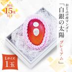 おとふけ産マンゴー 白銀の太陽プレミアム