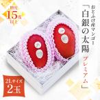 おとふけ産マンゴー 白銀の太陽プレミアム