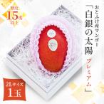 おとふけ産マンゴー 白銀の太陽プレミアム