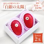 おとふけ産マンゴー 白銀の太陽 Lサイズ×2玉
