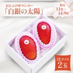 おとふけ産マンゴー 白銀の太陽 2Lサイズ×2玉