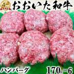 ふるさと納税 杵築市 ニード牧場のおおいた和牛 ハンバーグ(170g×6)(杵築市)