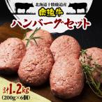 ふるさと納税 鹿追町 鹿追牛 ハンバーグセット 200g×6個 計1.2kg 牛肉100% 北海道十勝鹿追産【0117】