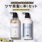 カミレア ツヤ美髪に導くシャンプートリートメントセット