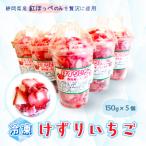 けずりいちご150g×5個セット