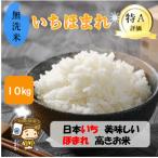 ふるさと納税 あわら市 【令和7年産】いちほまれ 無洗米 5kg×2袋