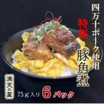 満天の星特製 角煮 四万十ポーク使用 75g×6袋