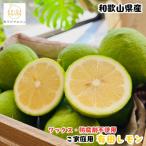 紀州和歌山 ご 訳あり有田レモン 1kg
