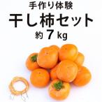 柳フルーツ園 干し柿セット 約7kg