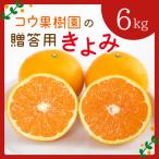 コウ果樹園の用きよみ6kg YWTG018