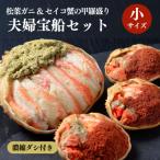 ふるさと納税 京丹後市 【年末発送】蟹の匠 魚政のプレミアムズワイガニ 雌雄の甲羅盛り 夫婦宝船セット 小サイズ お正月にも