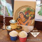ふるさと納税 藤沢市 Hilo Homemade Ice Cream 手作りプレミアムアイスクリーム ≪6個詰め≫