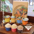 ふるさと納税 藤沢市 Hilo Homemade Ice Cream 手作りプレミアムアイスクリーム ≪12個詰め≫