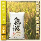 越後魚沼郷 魚沼産コシヒカリ お米