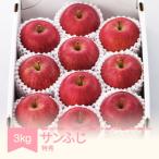 りんご サンふじ 約3kg