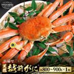 地物 はるか丸が厳選 越前がに