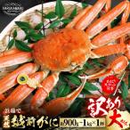 はるか丸が厳選 とれたて冷蔵でお届け