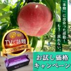 ふるさと納税 山梨市 【5年連続TV出演達成】今、最も熱視線を注がれる『樹上完熟ブランド桃』2026年6月下旬より発送