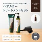 ヘアカラートリートメント3点セット ダークブラウン