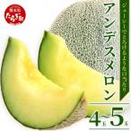 ふるさと納税 多良木町 【2026年5月上旬より順次発送】熊本県産 アンデスメロン 4〜5玉 約5kg