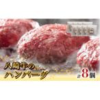 ふるさと納税 延岡市 八崎牛のハンバーグ 約120g×8