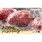 八崎牛のハンバーグ120g×5個 N0105-YZA4408