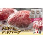 八崎牛のハンバーグ 約120g×5