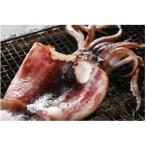 柔らか肉厚のスルメイカ 一夜干し 6枚