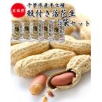 から付き落花生 千葉半立 300g×5袋セット