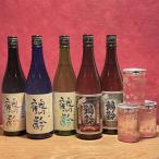 雪国の地酒 鶴齢 バラエティセット 720ml×5本