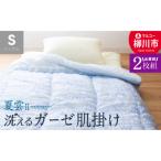 肌掛け布団 TCガーゼ 夏雲ll シングル
