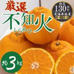 濃厚ぷりっぷり 厳選 不知火 しらぬひ 約3kg