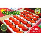 ふるさと納税 前橋市 群馬県いちご品評会入賞やよいひめ約400g×6パック こだわりの栽培で極めた味、コク、香り、甘さ