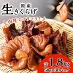 fu.... налог Ibaraki префектура ko Rico li еда чувство! сырой иудино ухо 