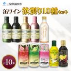 ふるさと納税 笛吹市 缶ワイン 欲張り 10種 飲み比べ セット 各1本計10本 モンデ酒造 山梨県 笛吹市